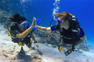 padi diving cources